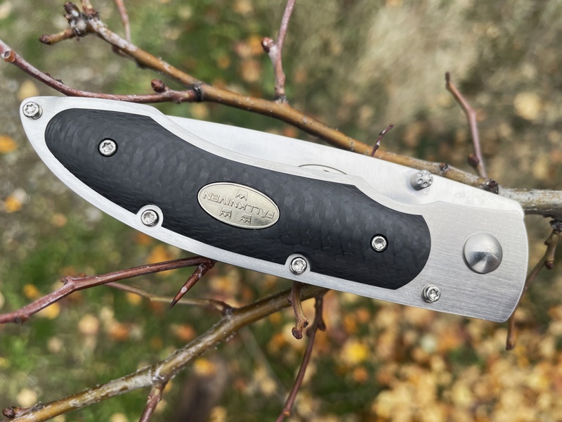 P3G Carbon Fiber photo