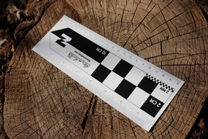 North Arrow Field and Animal Track Indicator