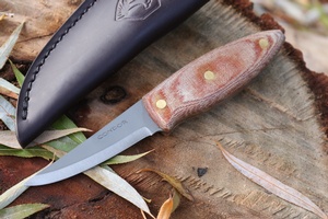 Condor Canyon Carver