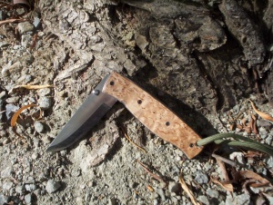 Brisa Birk Folder curly Birch
