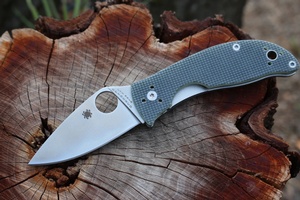 Spyderco Alcyone CTS BD1 Steel