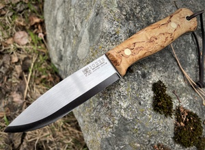 Joker Bushlord Curly Birch 
