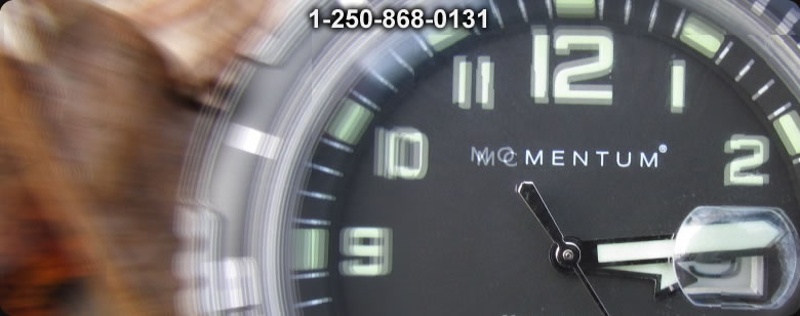 Momentum Watches Call for a Great Price on any of the range.