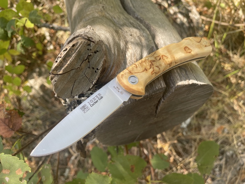 Joker Cocker Cub Curly Birch 