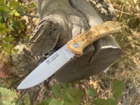 Joker Cocker Cub Curly Birch 