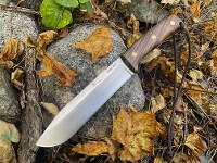 Joker Nomad Walnut Photo