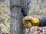 Gloved hammer grip - note the pinky