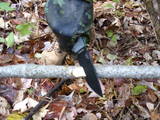 Chopping