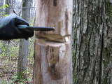 Notching